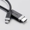 ALOGIC FUCHD1-SGR video cable adapter 1 m HDMI Type A (Standard) USB Type-C Grey - Image 2