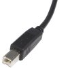 StarTech.com 6 ft USB 2.0 Certified A to B Cable - M/M - Image 3