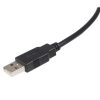StarTech.com 6 ft USB 2.0 Certified A to B Cable - M/M - Image 2