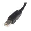 StarTech.com 5m USB 2.0 A to B Cable - M/M - Image 3