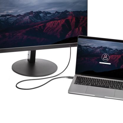 StarTech.com 6ft/2m USB C to VGA Cable - 1920x1200/1080p USB Type C to VGA Video Active Adapter Cable - Thunderbolt 3 Compatible - Image 2