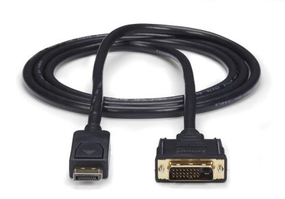 StarTech.com 6ft (1.8m) DisplayPort to DVI Cable, DisplayPort to DVI Adapter Cable, Passive DP to DVI-D Video Converter, 1080p - - Image 2